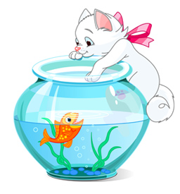 cat sitting frequently asked questions